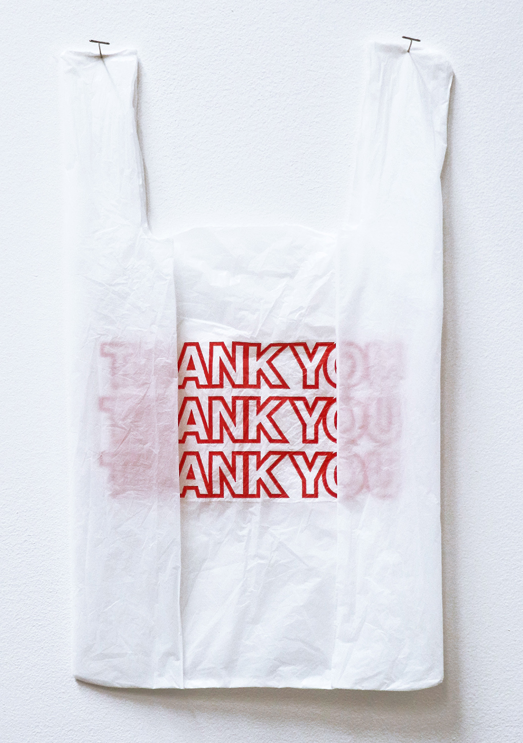 Ank Y Bag  Plastic bag 10 x 17 in