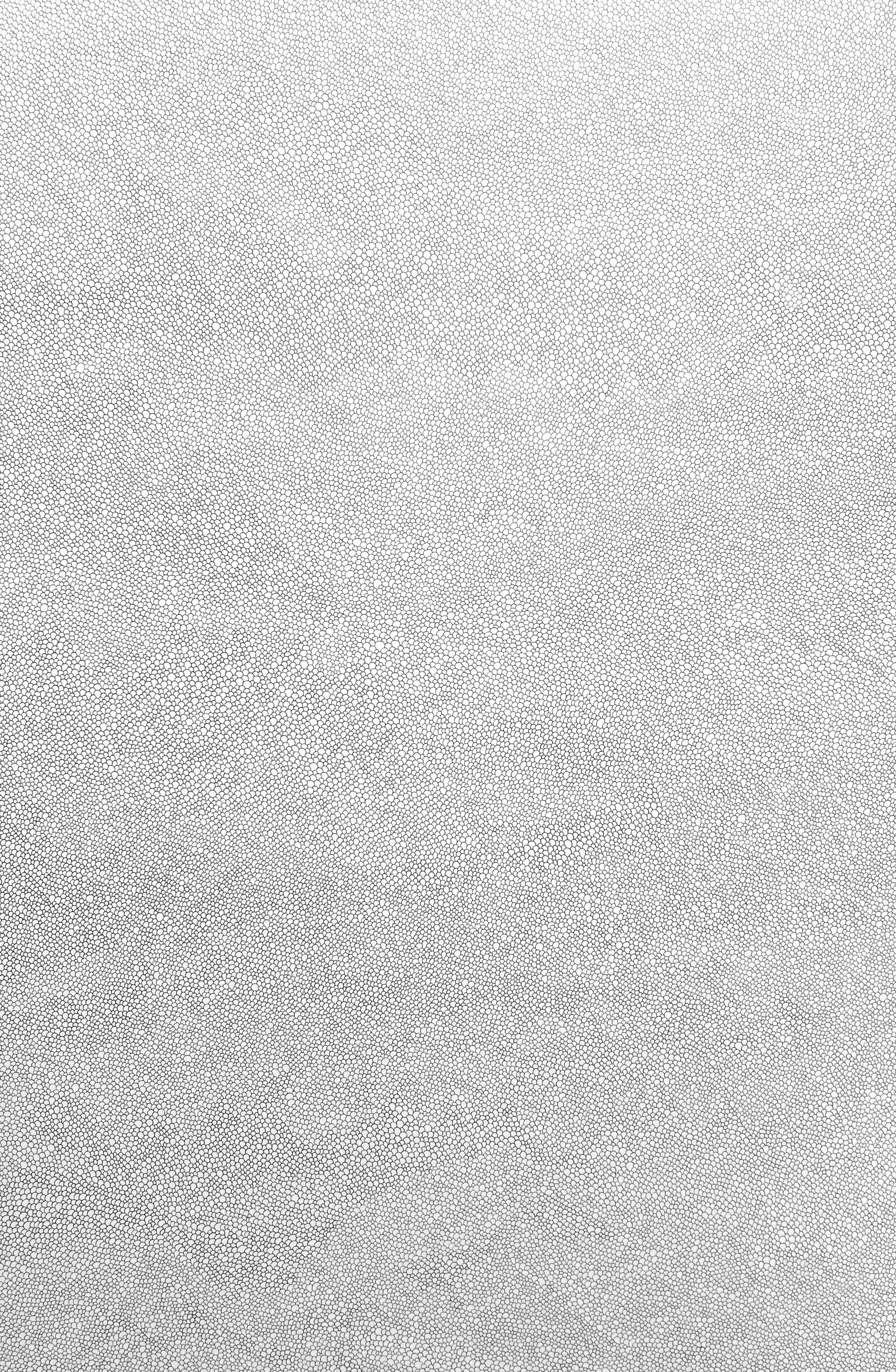 Untitled (White Scales)   Enamel on canvas 72 x 48 in